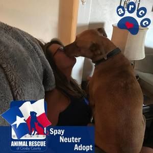 Meet your Posher, Dee dee